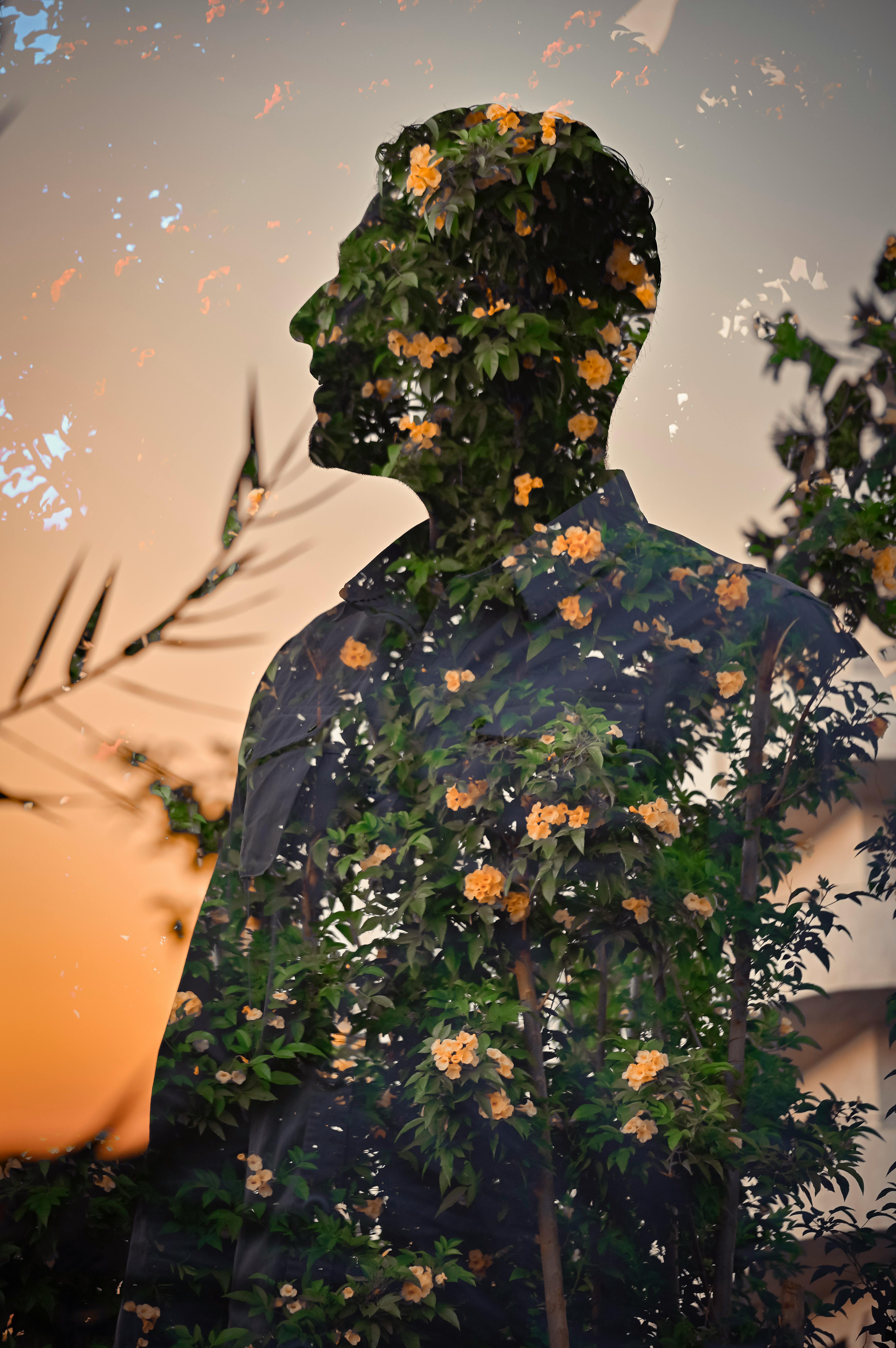 Silhouette of a man's head and torso filled with flowers and foliage.