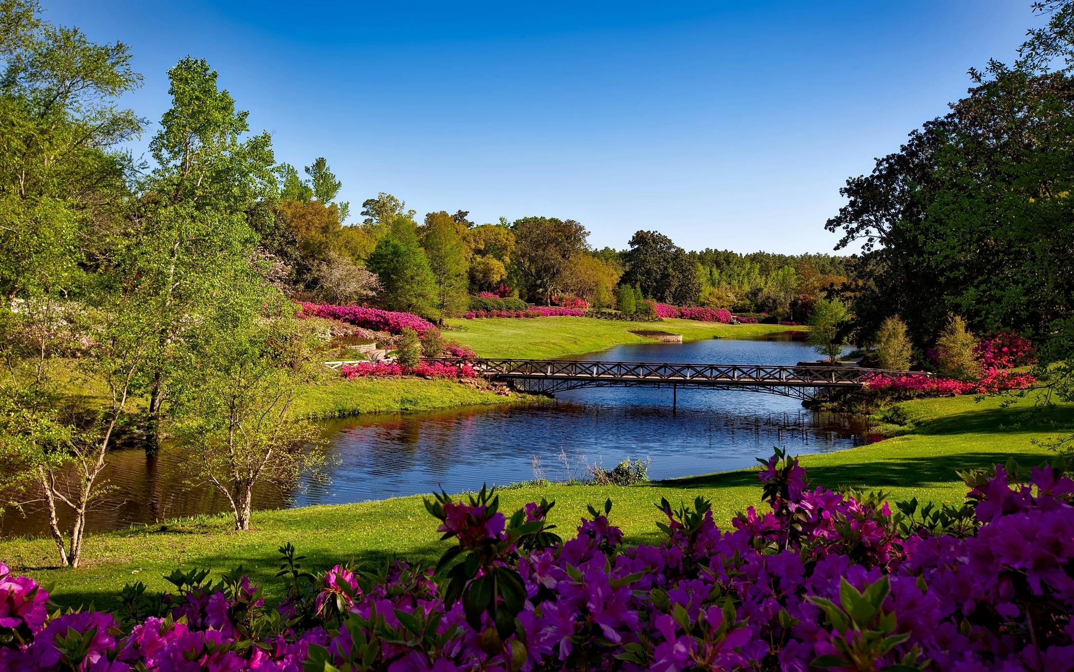 Transformation Journey - Beautiful landscape